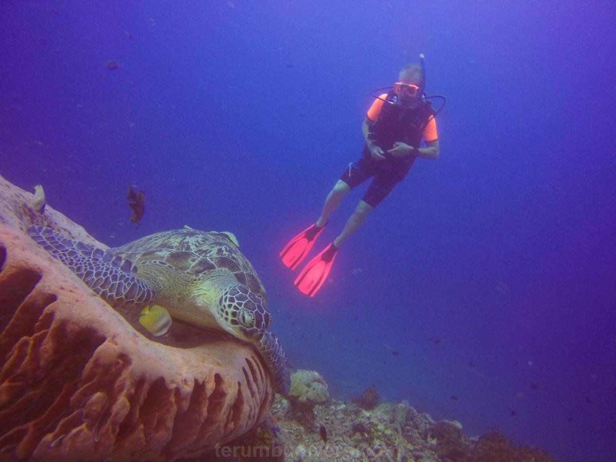 Anema Wellness & Resort Gili Lombok - Diving Center Padi Tanjung  Екстериор снимка